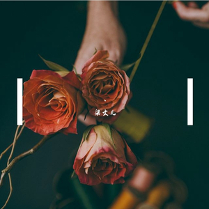 男男做爰免费视频观看
